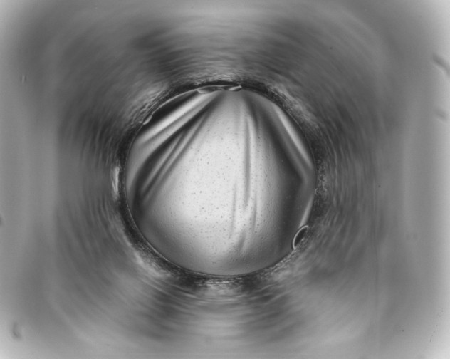 X0000094950070200712201147