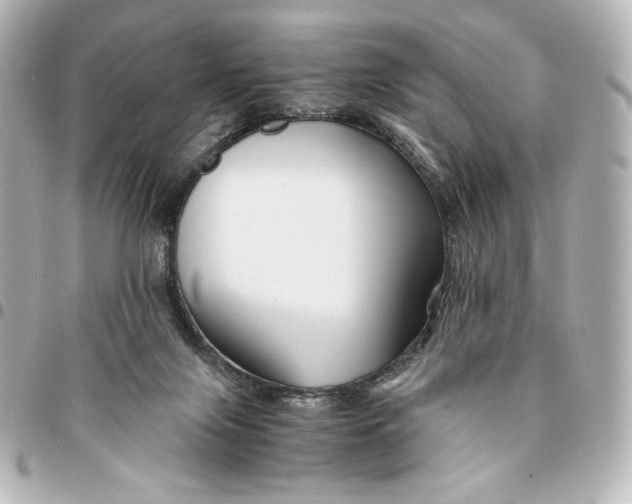 X0000094950071200712201147