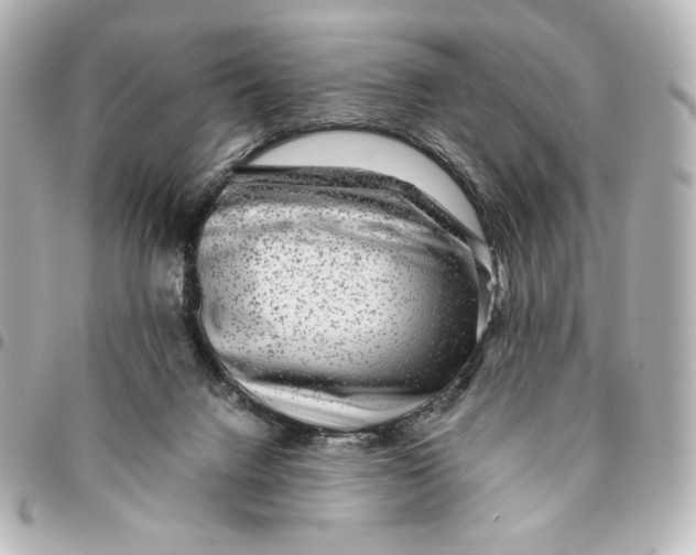 X0000094950072200712201147