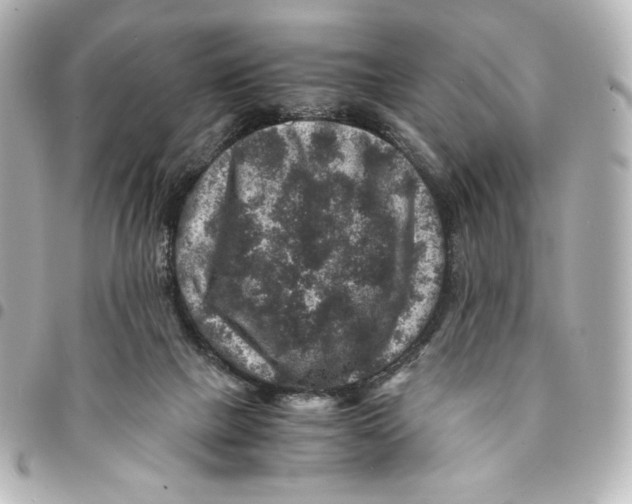 X0000094950073200712201147