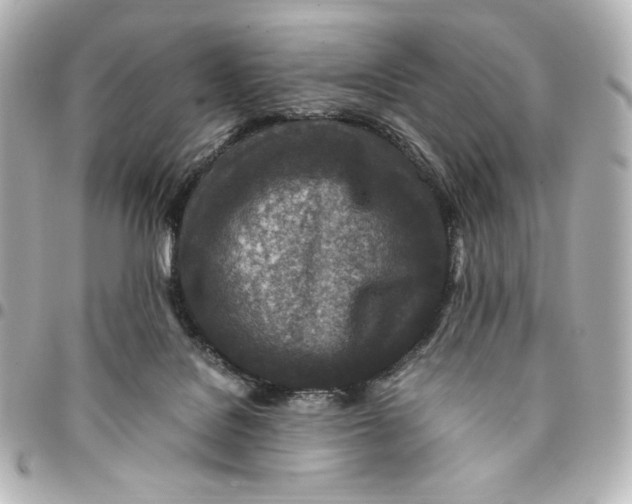 X0000094950076200712201147