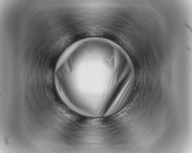 X0000094950078200712201147