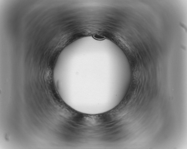 X0000094950079200712201147