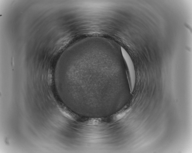 X0000094950080200712201147