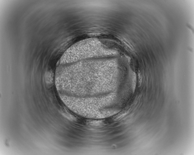 X0000094950081200712201147