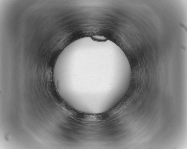 X0000094950083200712201147