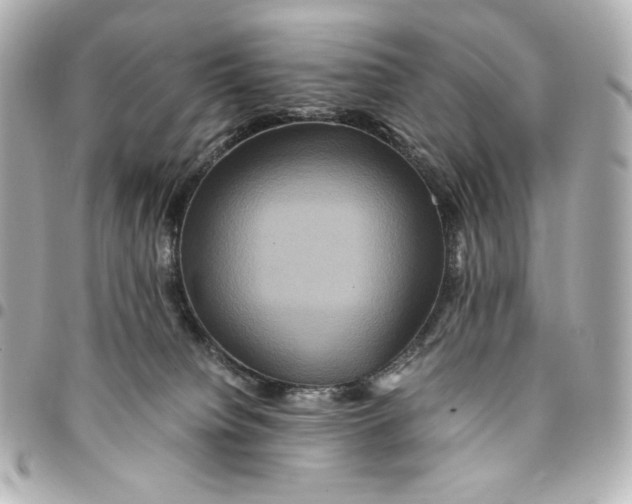 X0000094950084200712201147