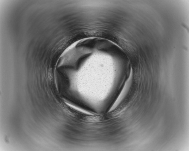 X0000094950085200712201147