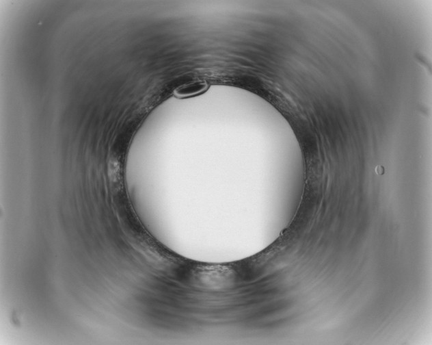 X0000094950087200712201147