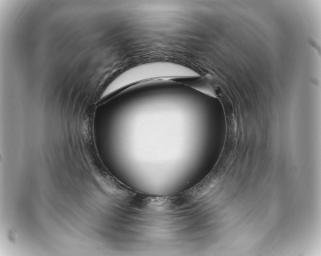 X0000094950088200712201147