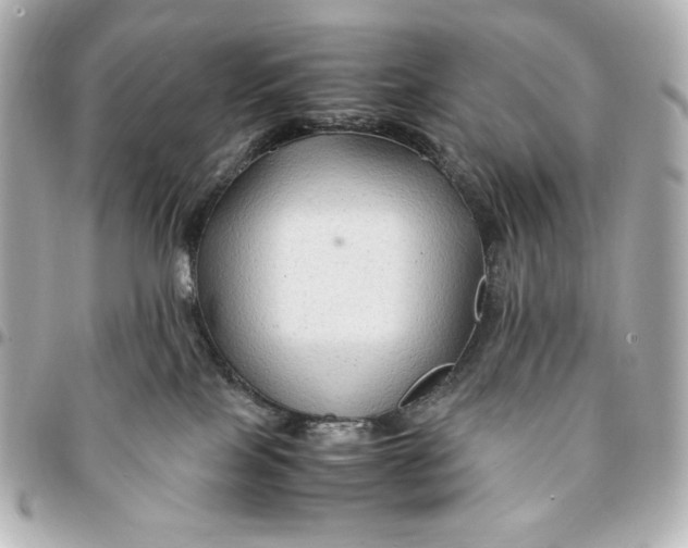 X0000094950089200712201147