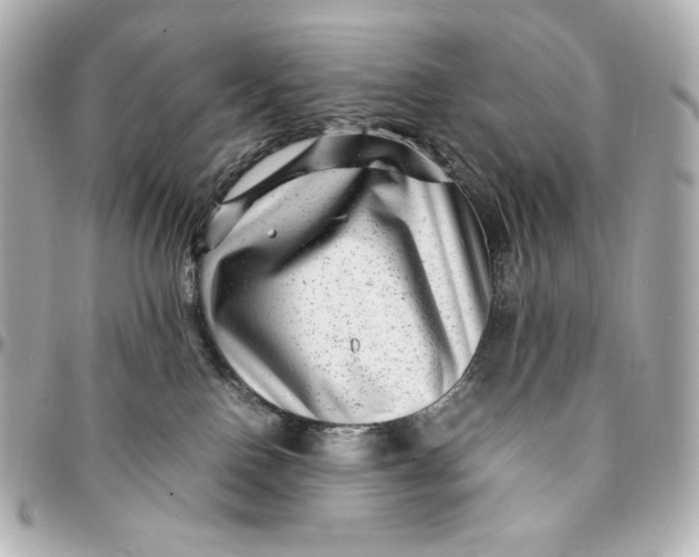 X0000094950090200712201147