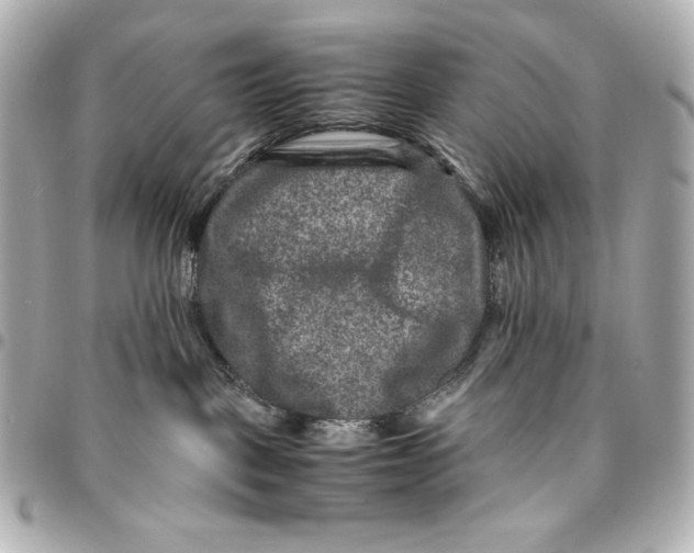 X0000094950093200712201147