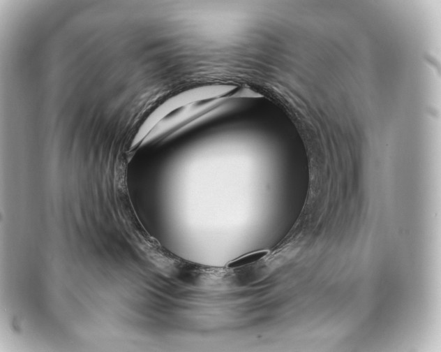 X0000094950096200712201147