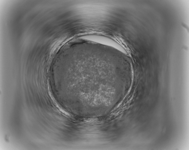 X0000094950097200712201146