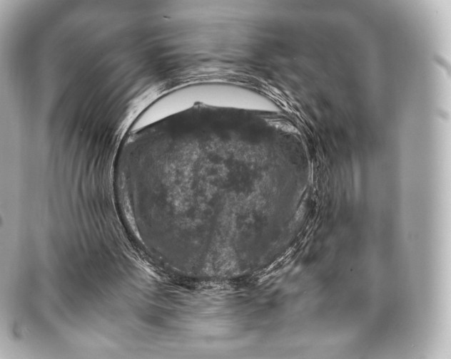 X0000094950099200712201146