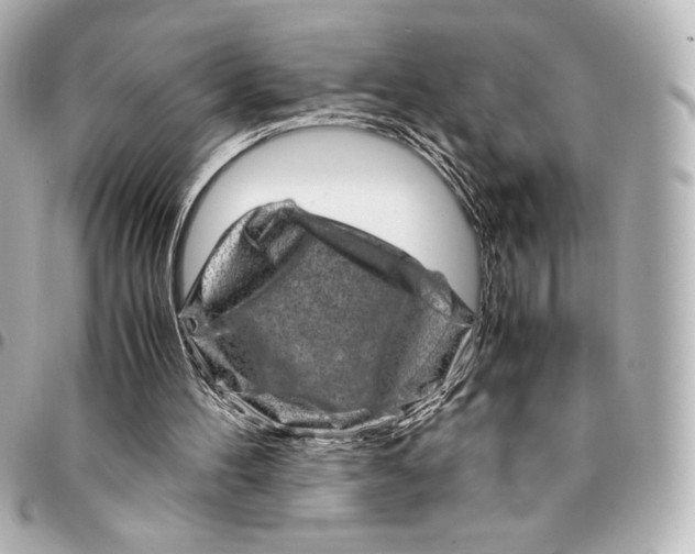 X0000094950100200712201146