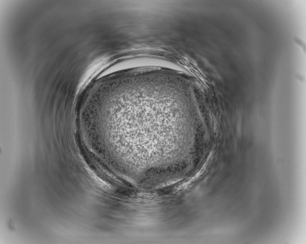 X0000094950101200712201146