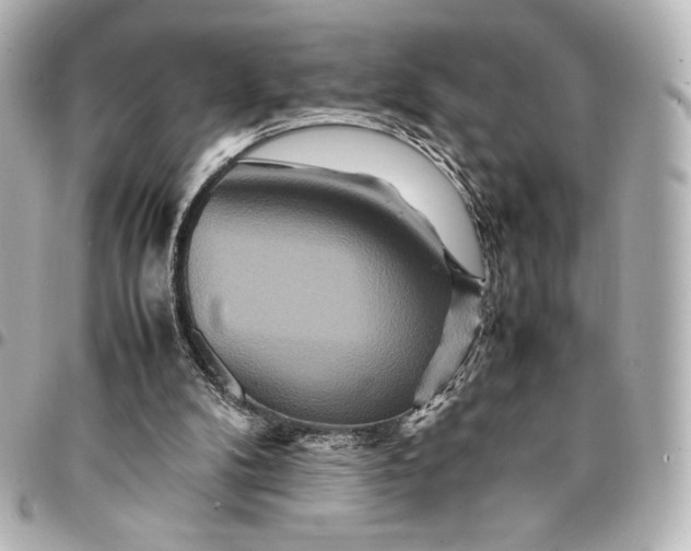 X0000094950104200712201146