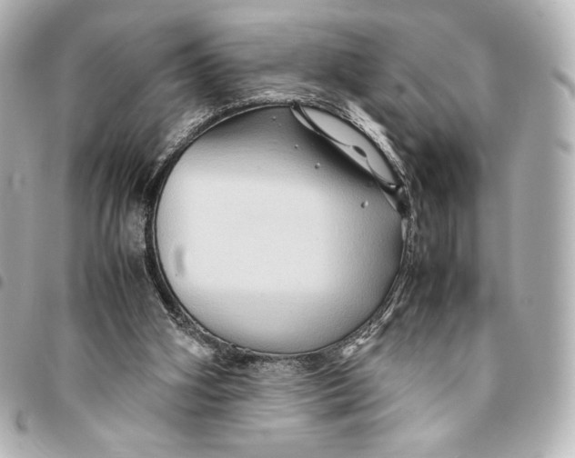 X0000094950106200712201146