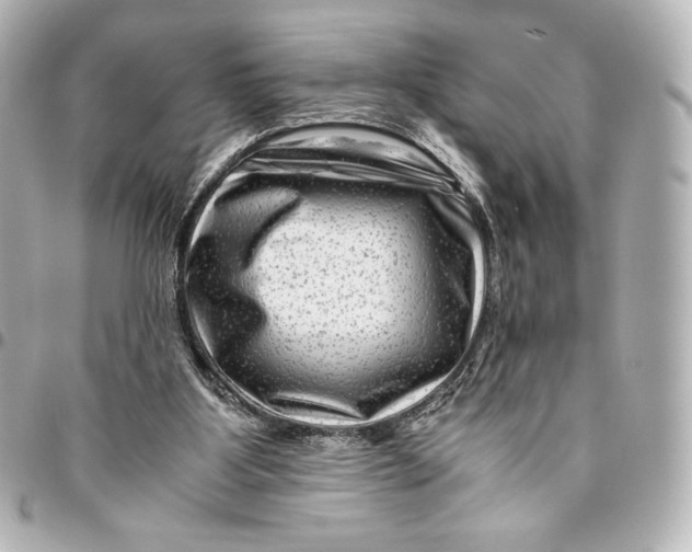 X0000094950107200712201146