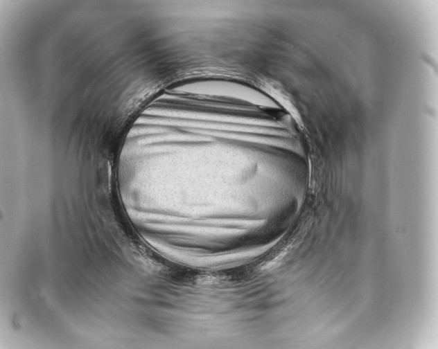 X0000094950109200712201146