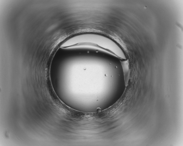 X0000094950111200712201146