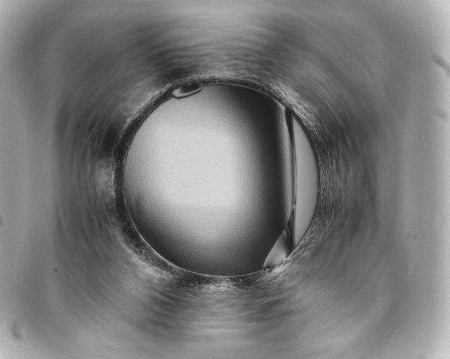 X0000094950112200712201146