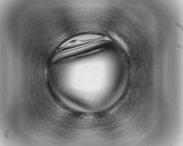 X0000094950113200712201146