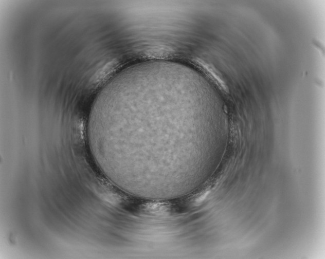 X0000094950117200712201146