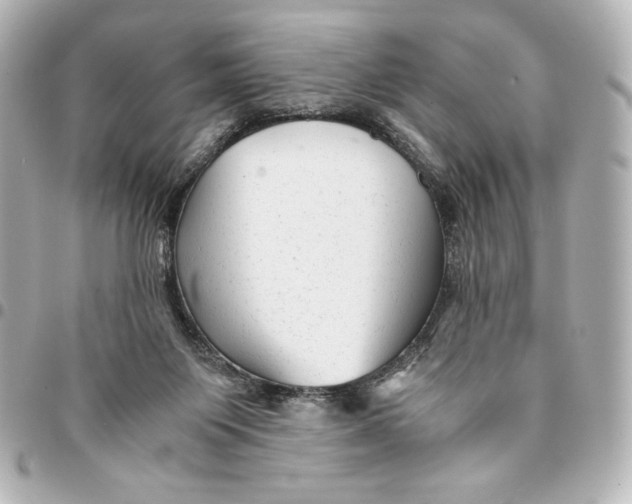 X0000094950119200712201146