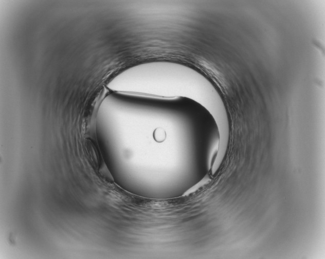 X0000094950121200712201146