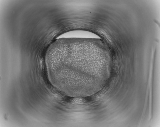 X0000094950123200712201146