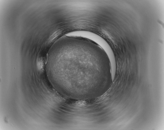 X0000094950124200712201146