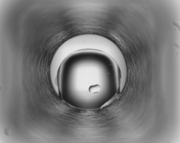 X0000094950125200712201146