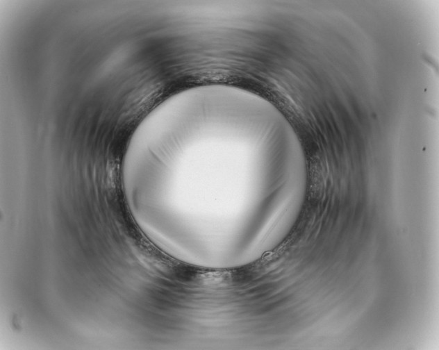 X0000094950126200712201146