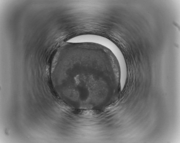 X0000094950127200712201146