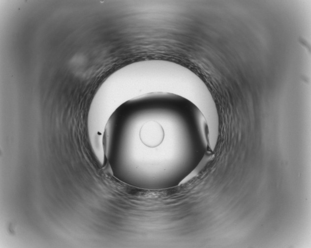 X0000094950129200712201146