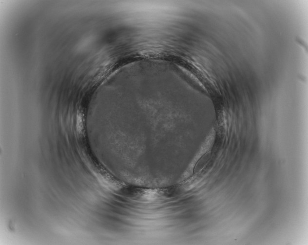 X0000094950130200712201146