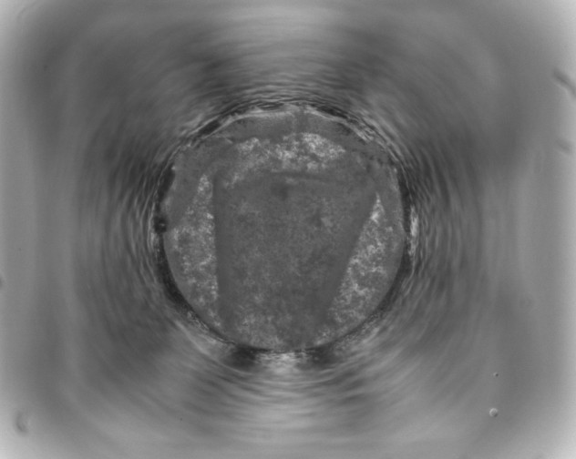 X0000094950131200712201146