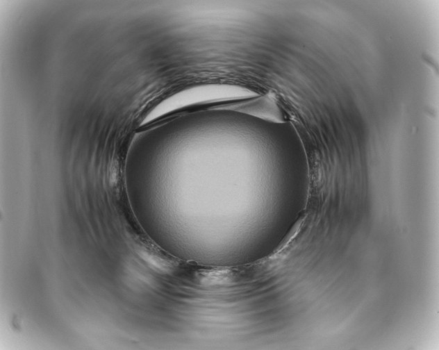 X0000094950132200712201146