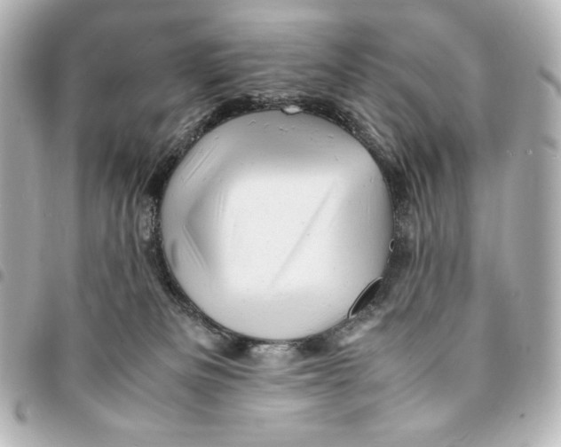 X0000094950133200712201146