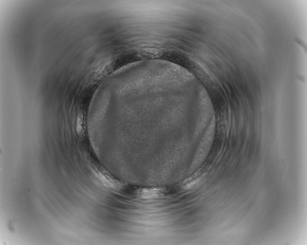 X0000094950134200712201146