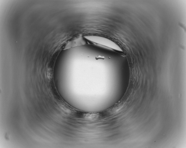 X0000094950135200712201146