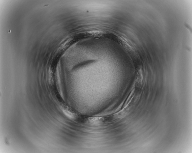 X0000094950136200712201146