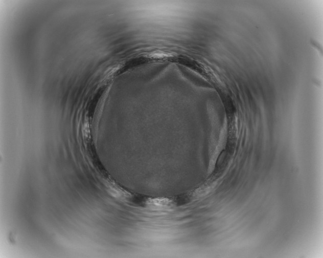 X0000094950137200712201146