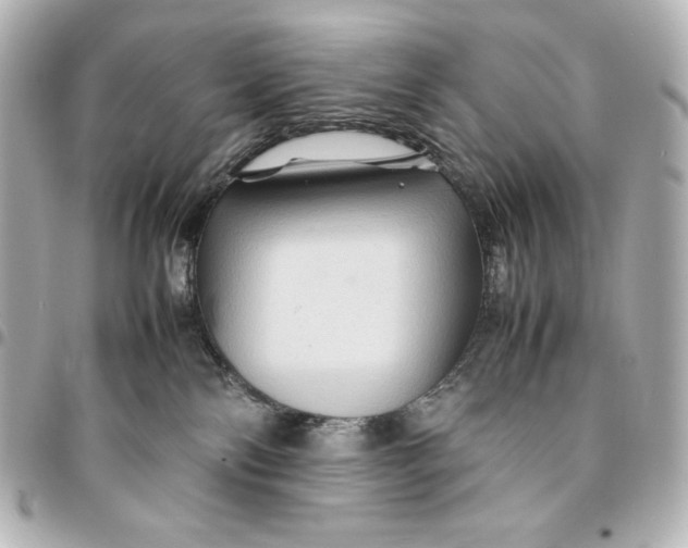 X0000094950138200712201146