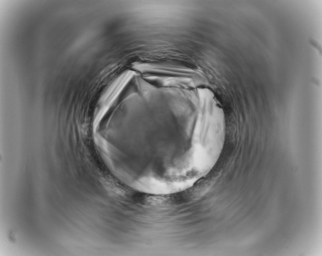 X0000094950139200712201146