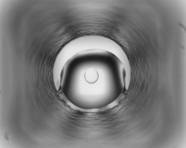 X0000094950141200712201146