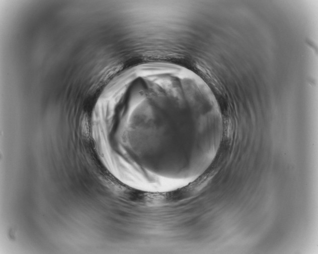 X0000094950143200712201146